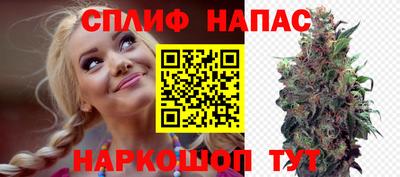 гашик Изобильный