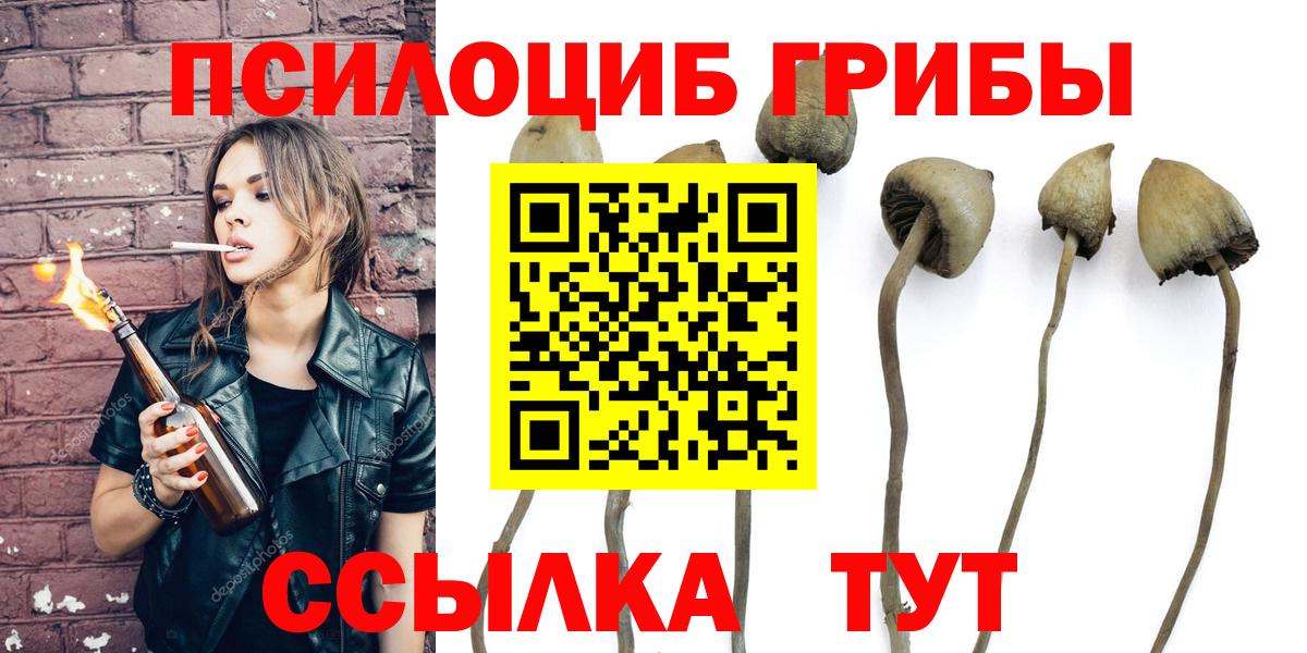 Псилоцибиновые грибы Magic Shrooms  хочу наркоту  Луга  Вход с VPN 
