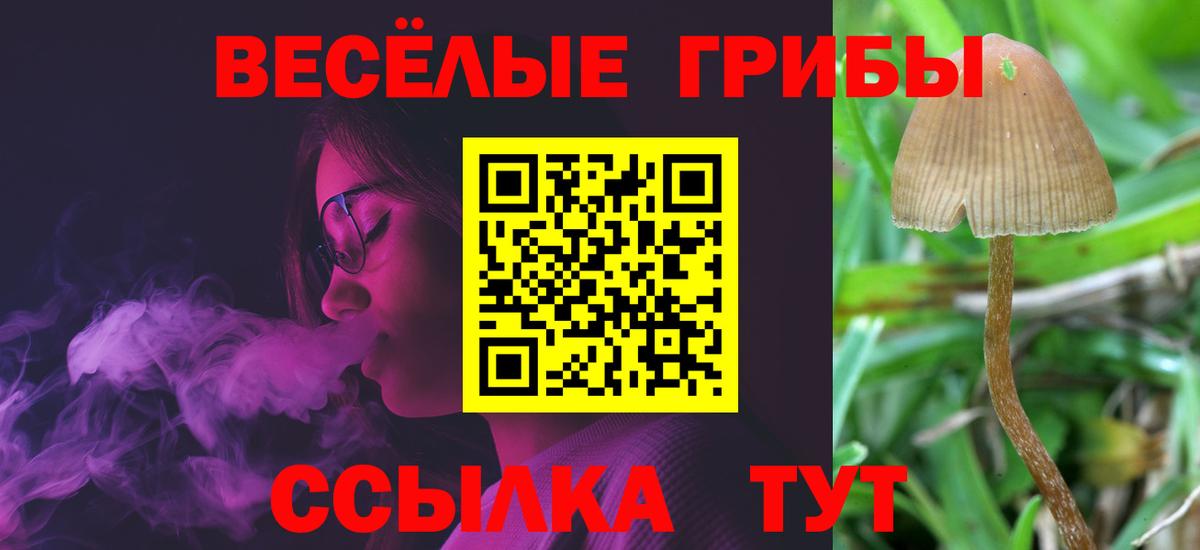 Галлюциногенные грибы мухоморы Луга